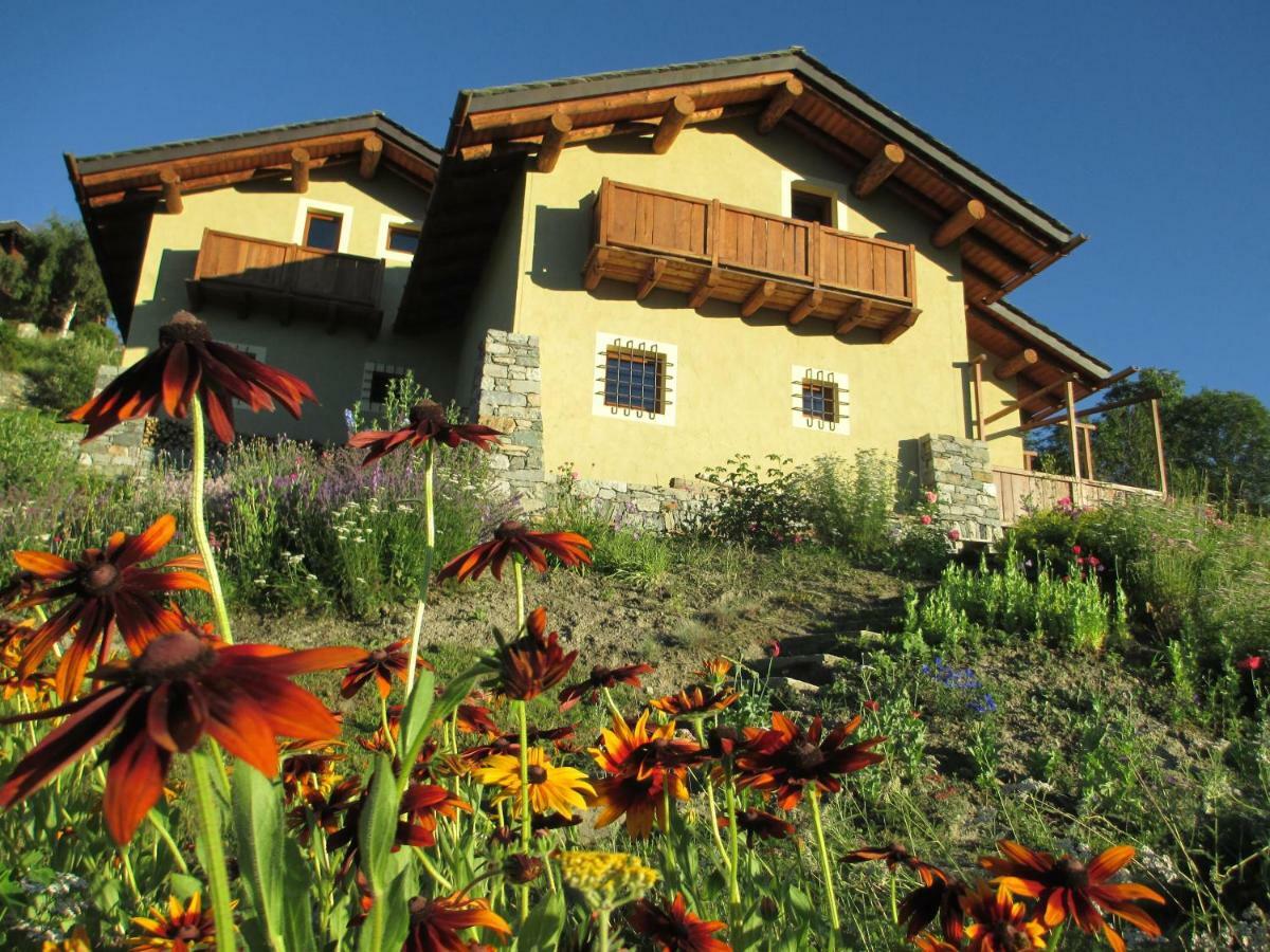Petite Cerise Apartment Gressan Exterior photo